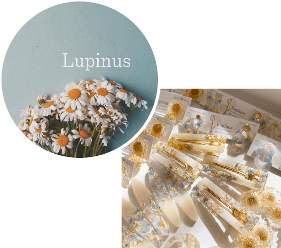 Lupinus（ルピナス）さん