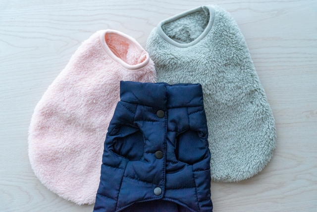 ペット用の洋服